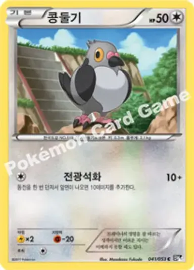 콩둘기