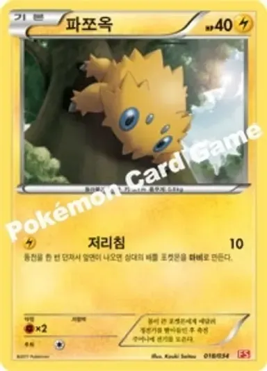 파쪼옥