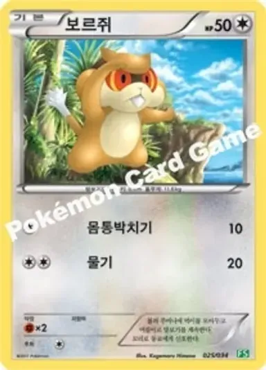보르쥐
