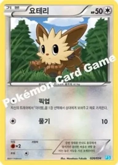 요테리