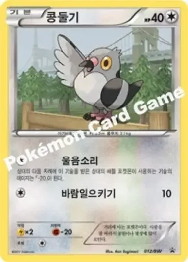 콩둘기