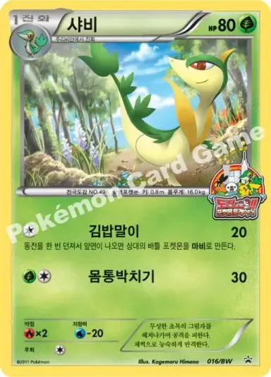 샤비