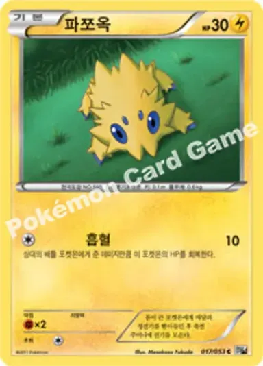 파쪼옥