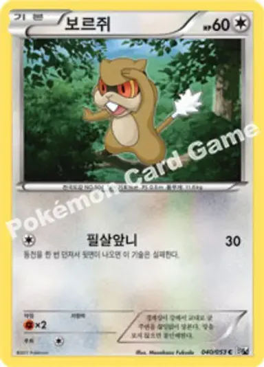 보르쥐