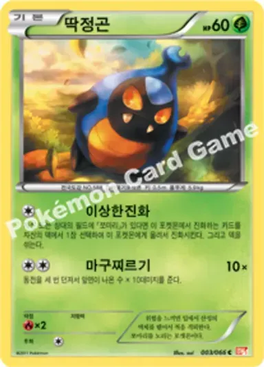 딱정곤