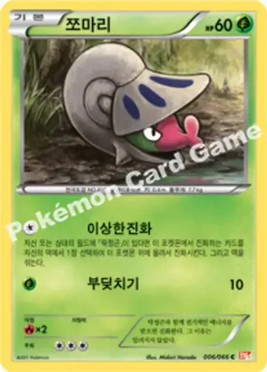 쪼마리
