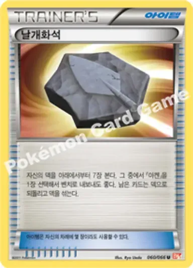 날개화석