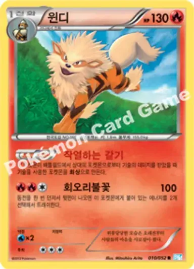 윈디