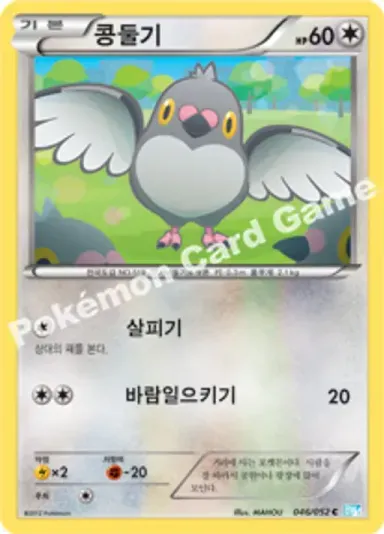 콩둘기