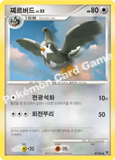 찌르버드