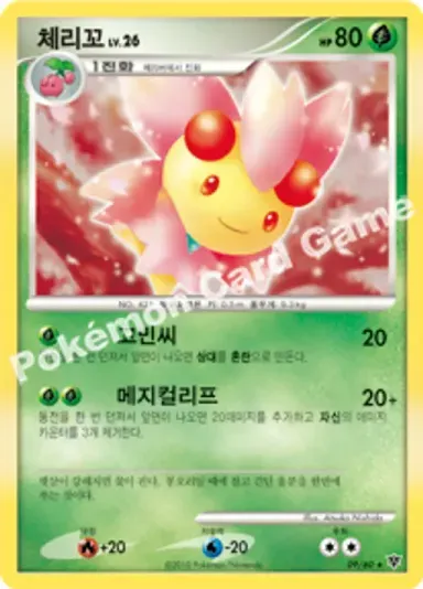 체리꼬