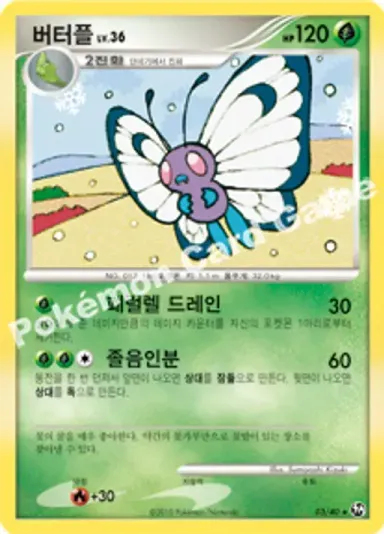 버터플