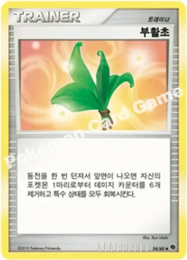 부활초