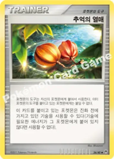 추억의 열매